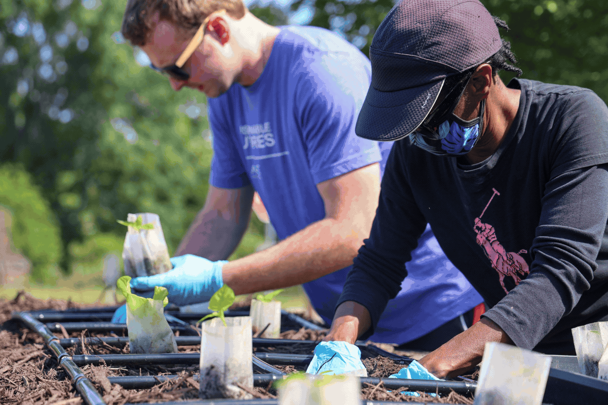 AgFirst and Richland Library partner to create Growth to Consumption ...