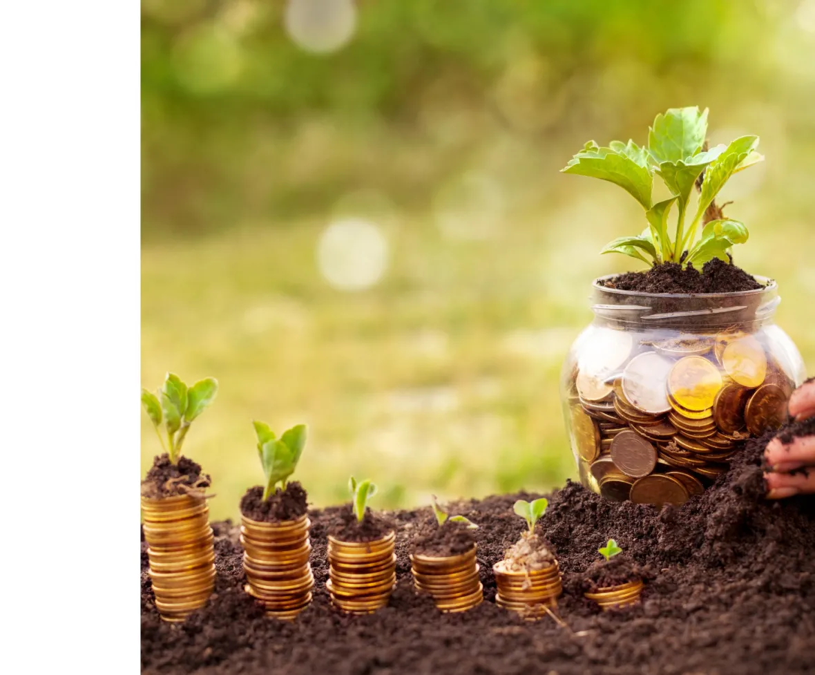 AgFirst Returns Record Patronage Of 468 Million For 2021 January 31 agfirst-returns-record-patronage-of-468-million-for-2021-january-31