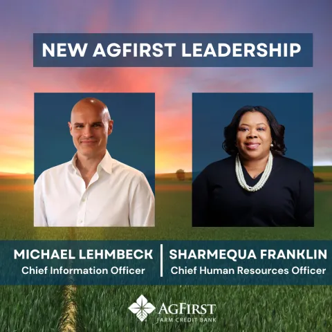 AgFirst CIO and CHRO