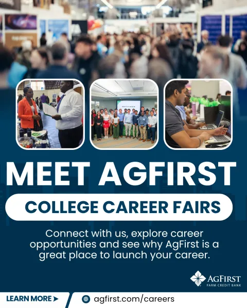 Career fairs flyer