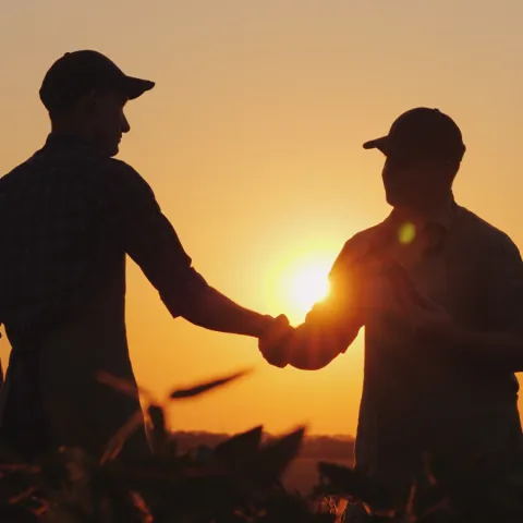 Farmers shake hands