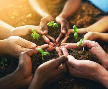 Hands in Dirt