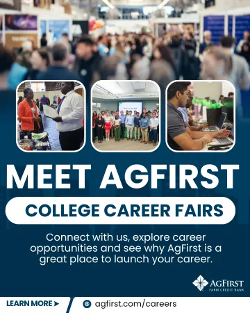 Career fairs flyer
